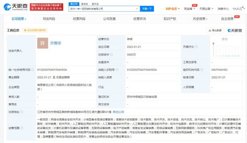 應(yīng)用軟件服務(wù) 數(shù)字化轉(zhuǎn)型時代的企業(yè)引擎